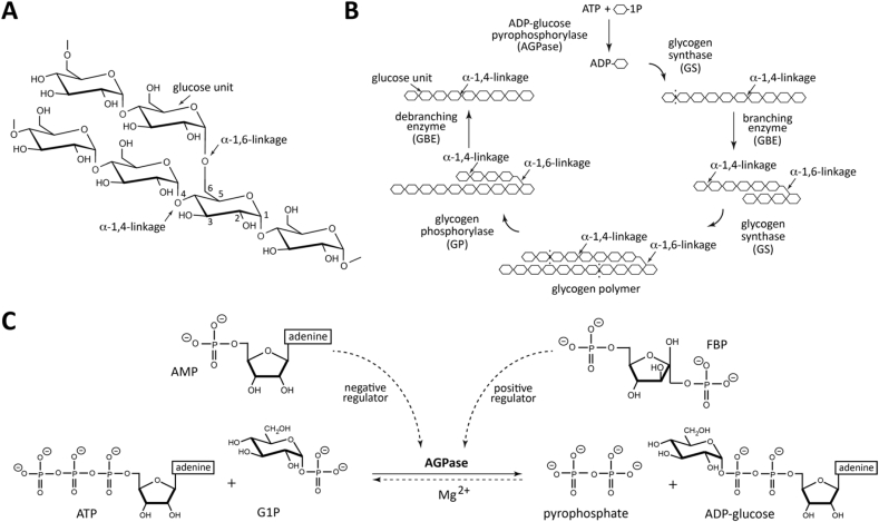 Fig. 1