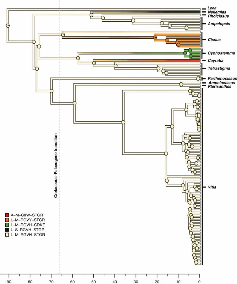 Fig. 3.