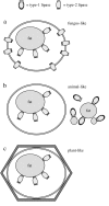 Figure 17