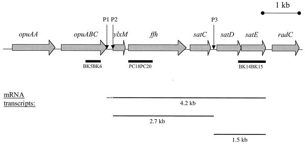 FIG. 1