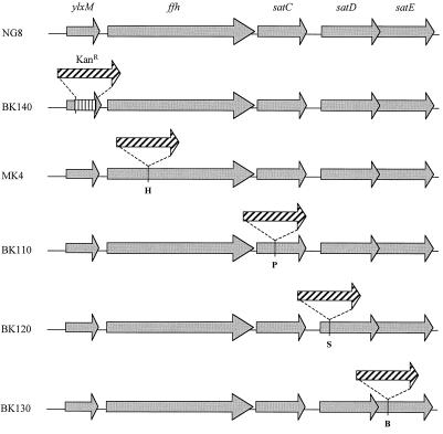 FIG. 4