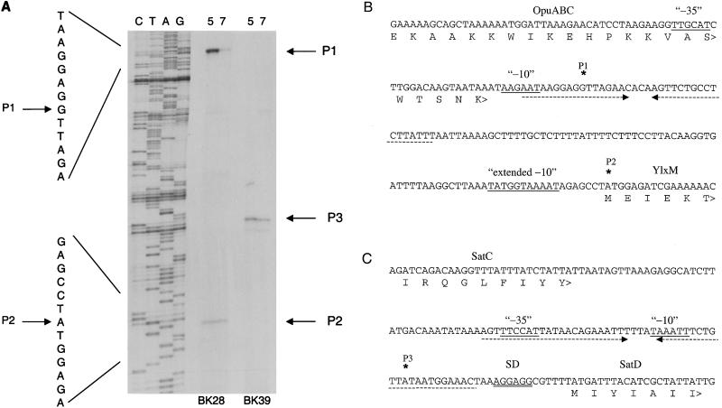 FIG. 3