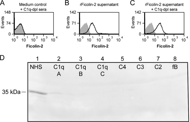 FIG 2