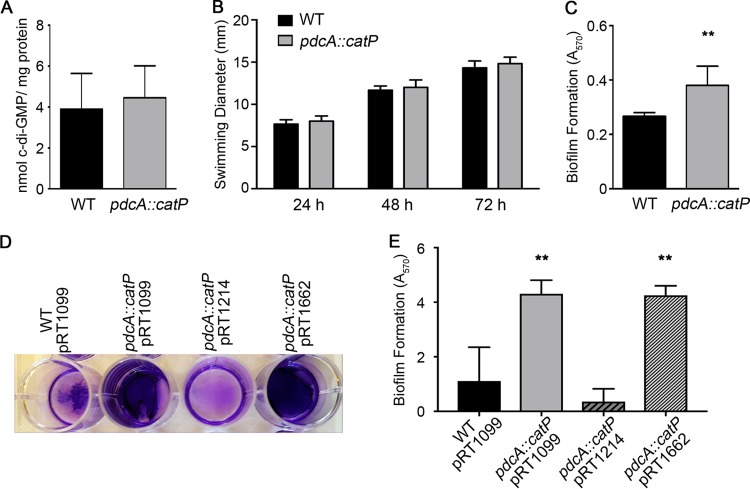 FIG 4