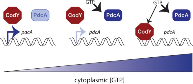 FIG 7