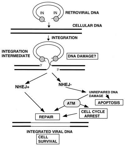 FIG. 6