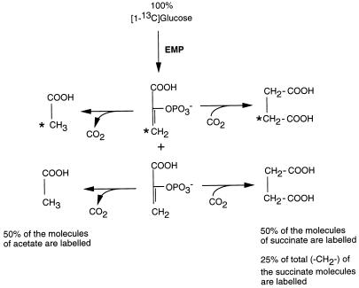 FIG. 6