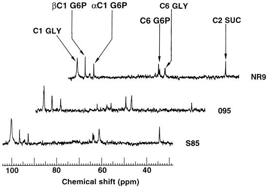 FIG. 3