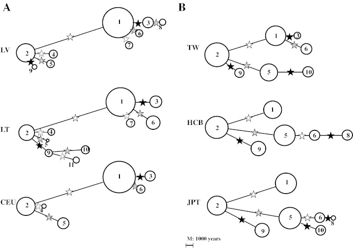 Fig. 1