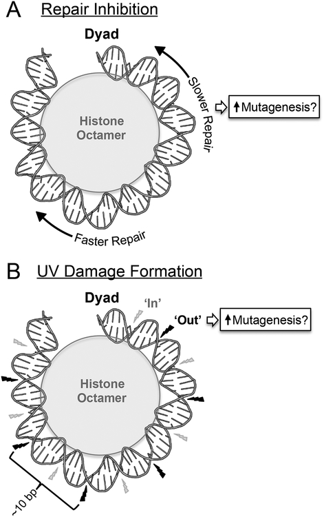 Figure 3: