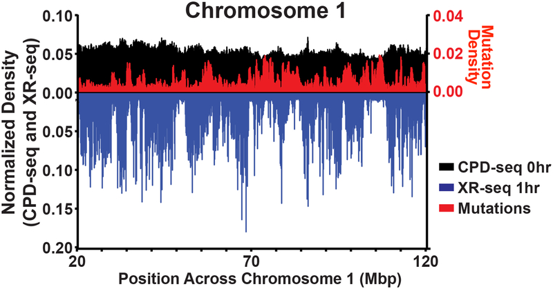 Figure 2: