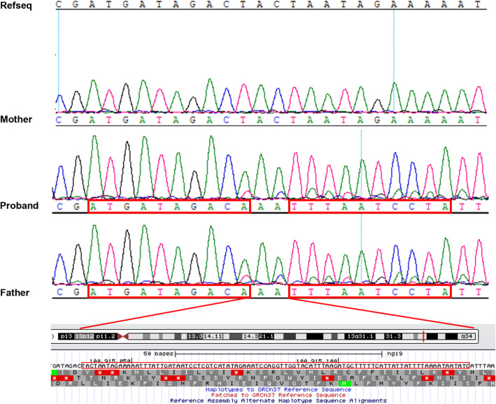 Fig. 2