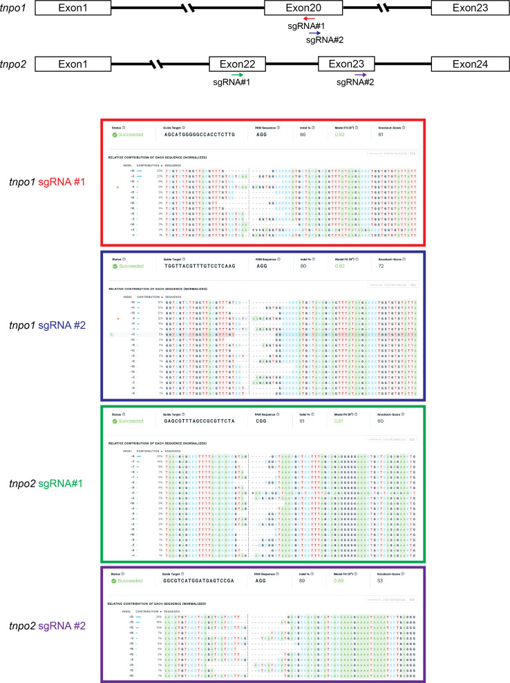 Figure 6—figure supplement 2.