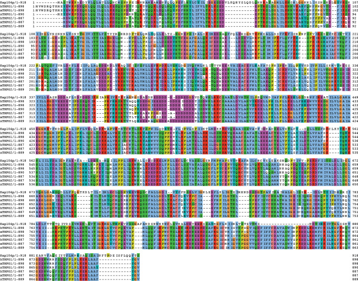 Figure 6—figure supplement 1.