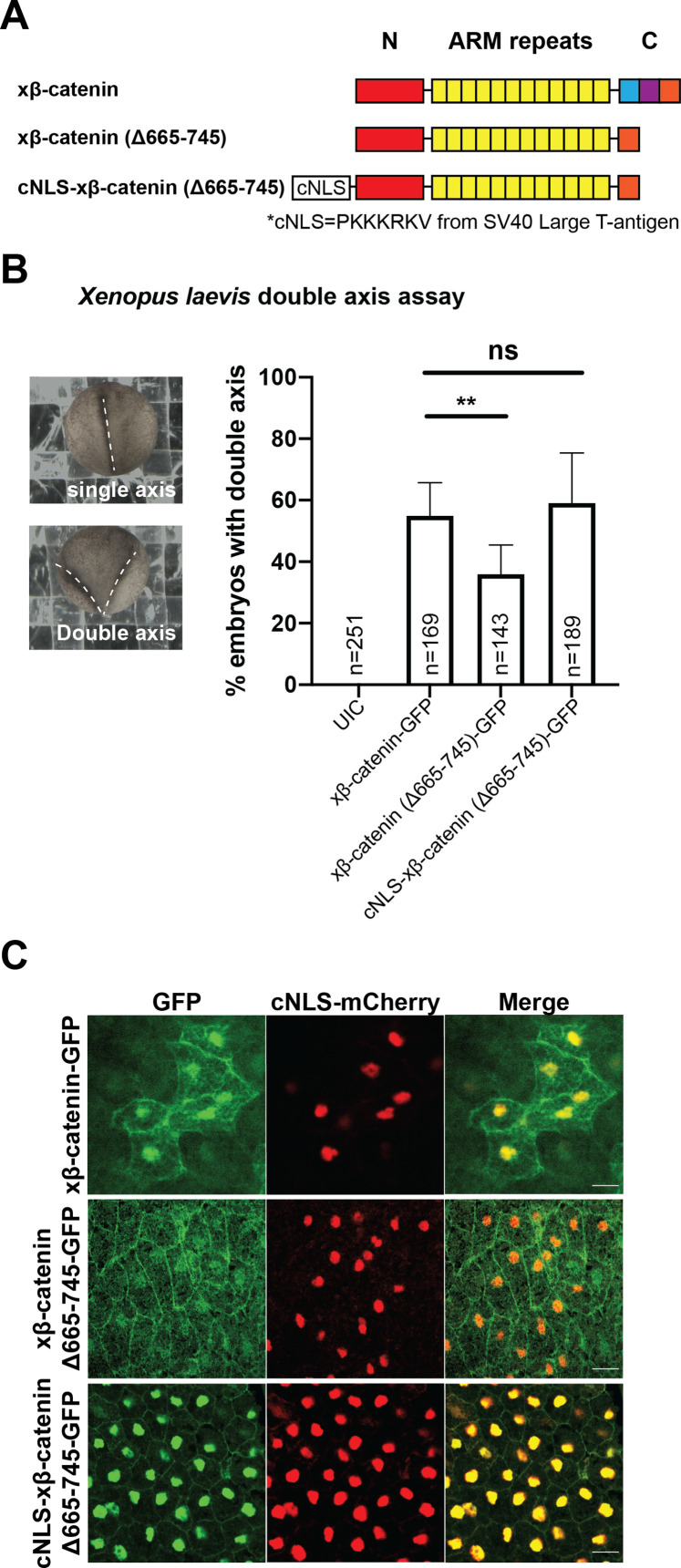 Figure 2—figure supplement 3.