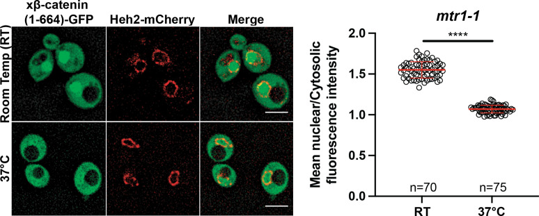 Figure 2—figure supplement 1.