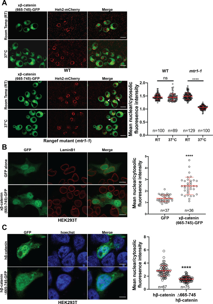 Figure 2—figure supplement 2.