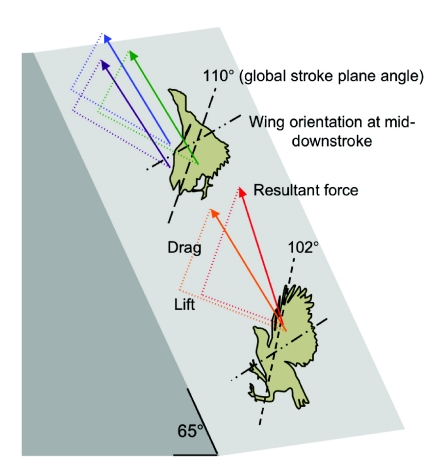 Fig. 5.