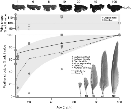 Fig. 7.