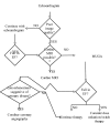 Fig. (4)
