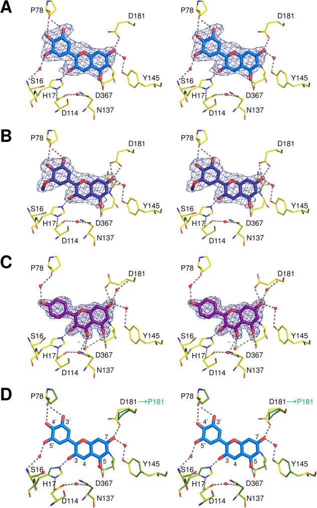 Figure 4