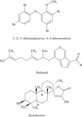 Scheme 18.2