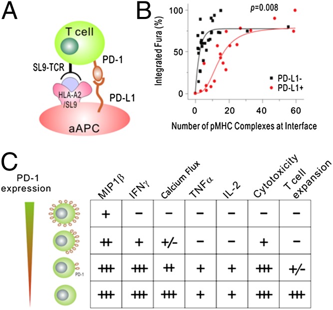 Fig. P1.