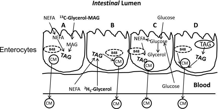 FIG. 6.