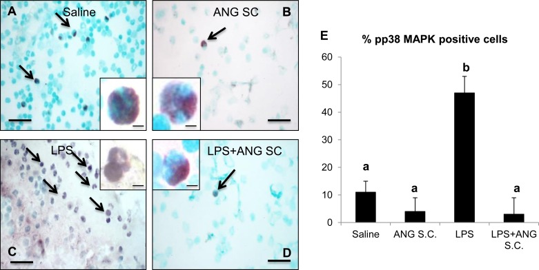 Fig. 11.