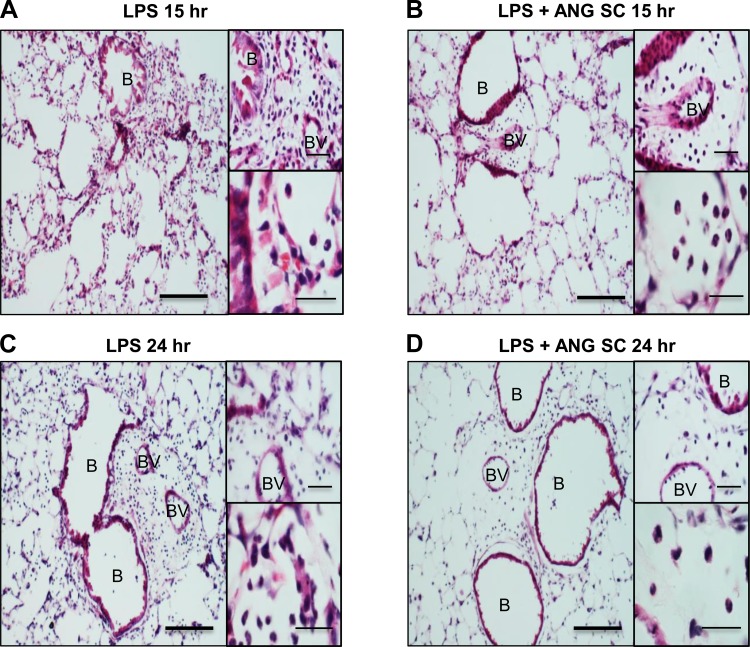 Fig. 9.