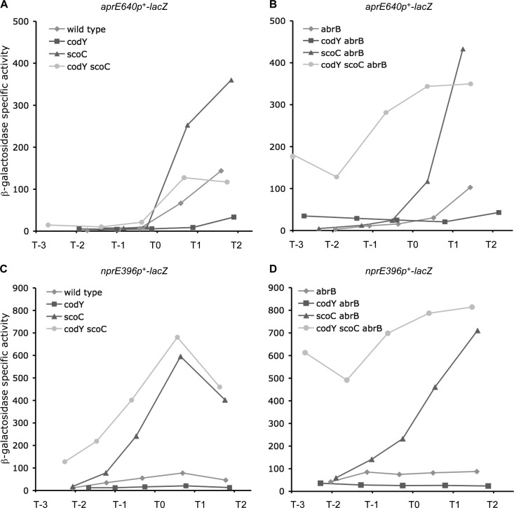 FIG 2