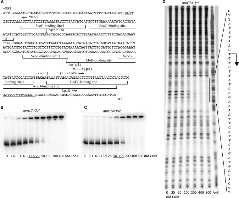 FIG 1