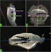Fig. 4