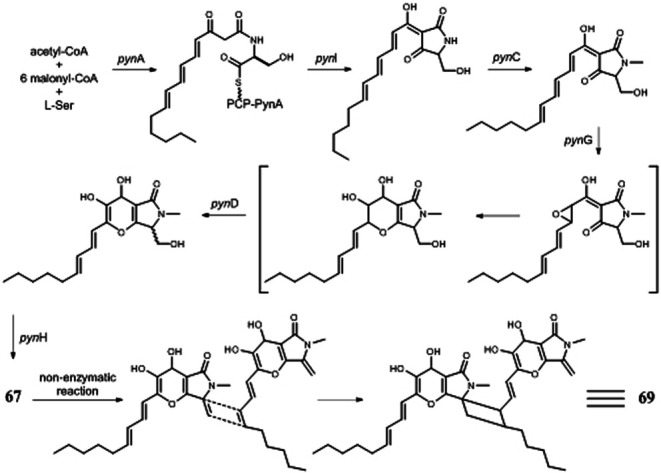 FIGURE 6