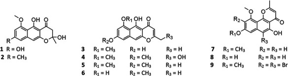 graphic file with name fchem-09-701022-fx1.jpg