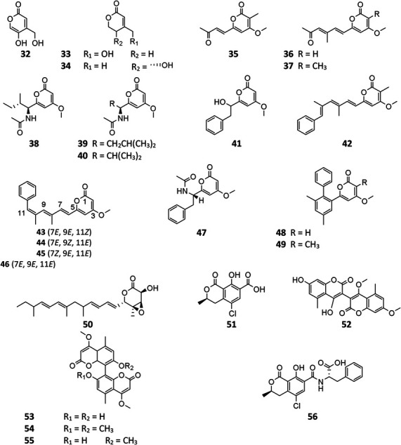 graphic file with name fchem-09-701022-fx3.jpg