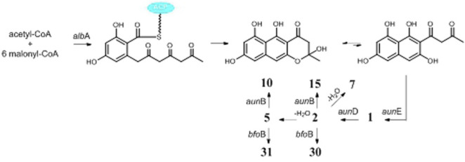 FIGURE 3