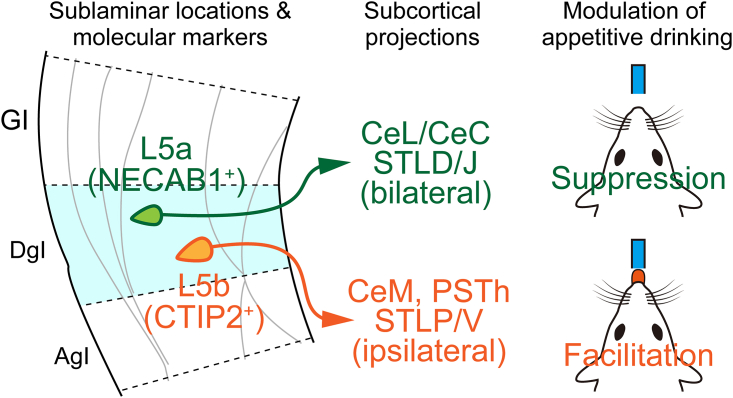 Figure 6