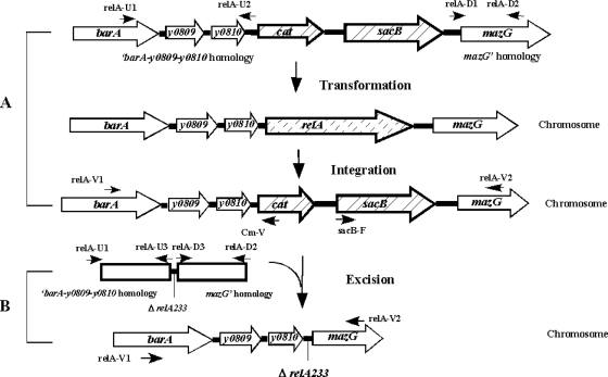 FIG. 2.