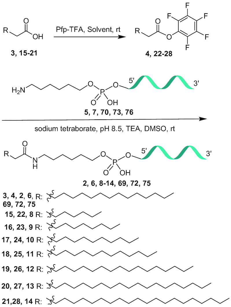 Scheme 1.