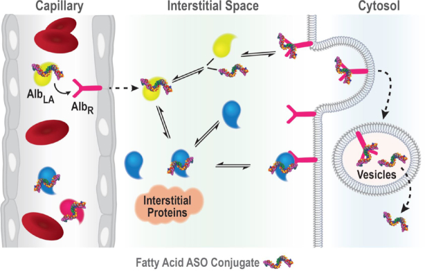 Figure 11.