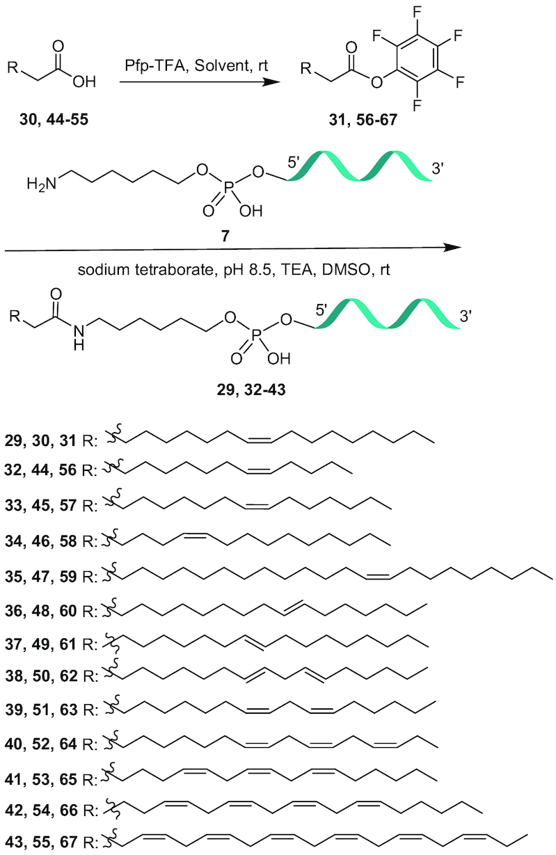 Scheme 2.