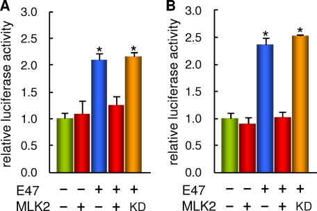 FIGURE 2.