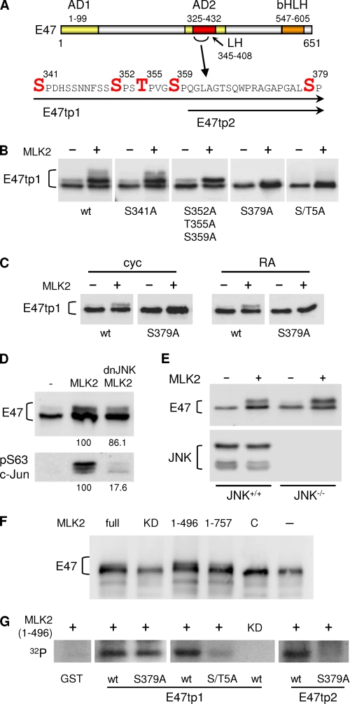 FIGURE 4.