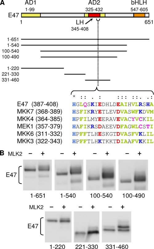 FIGURE 3.