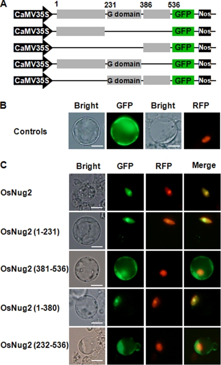 FIGURE 4.