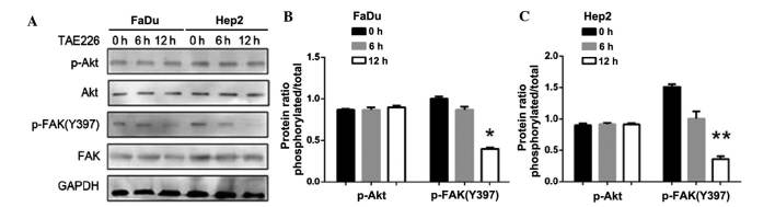 Figure 9.