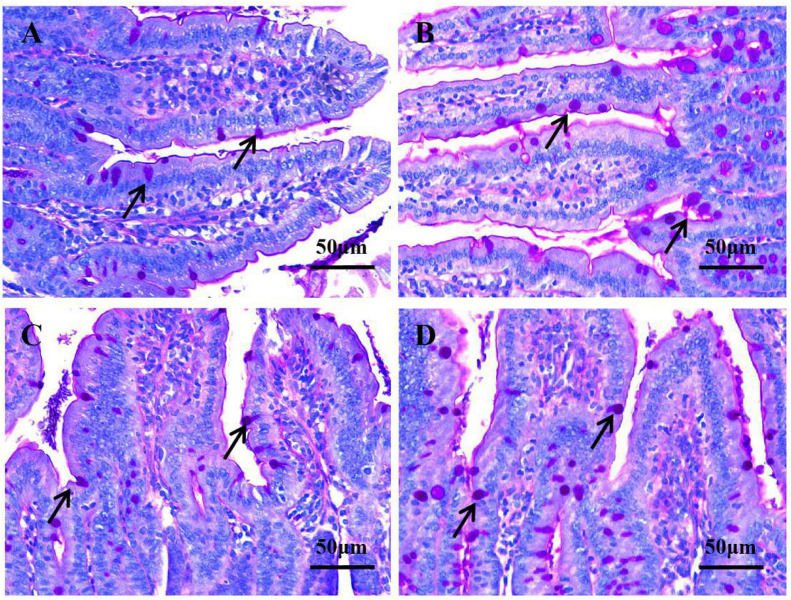 FIGURE 3