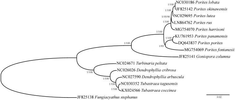 Figure 1.