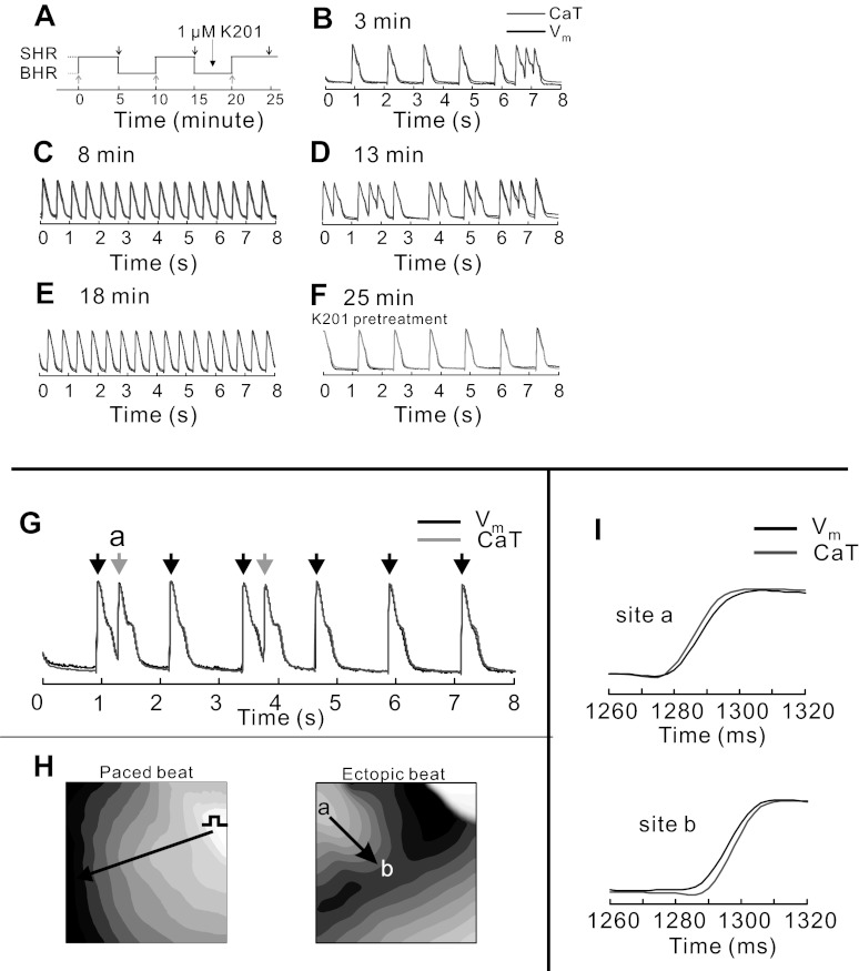 Fig. 9.